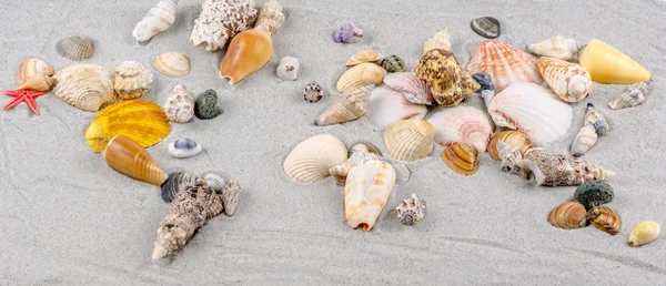 Map of the world made of shells on sand — Stock Photo, Image