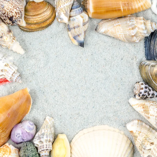 Abstract background made of shells on sand — Stock Photo, Image