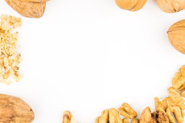 beyaz arkaplanda cevizler