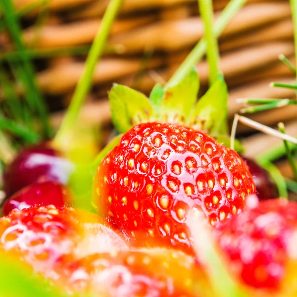 Kirschen und Erdbeeren liegen auf grünem Gras — Stockfoto