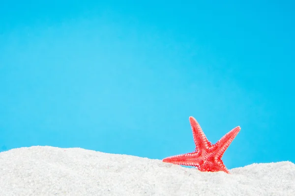 Sand beach with star shell — Stock Photo, Image