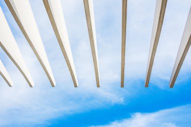 Malaga, İspanya'da yeni liman çatısı açık