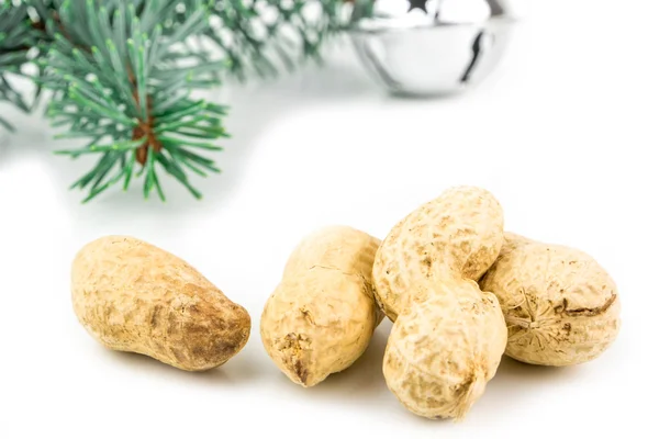 Four peanuts in shell and christmas decoration — Stock Photo, Image