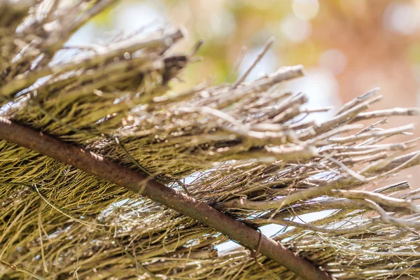 Halm paraply närbild — Stockfoto