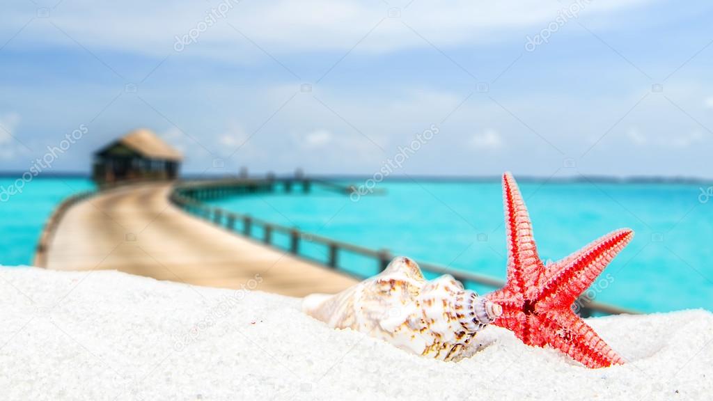 combination of sandy and shell front with blurred tropical island
