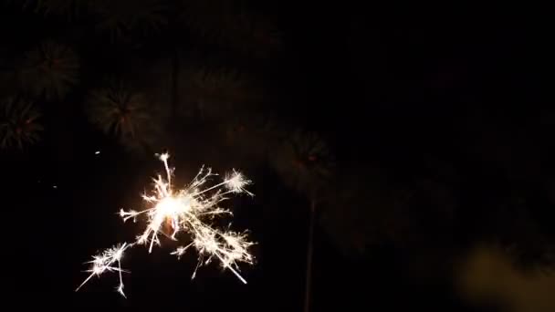 Brilho ardente, fogo de artifício — Vídeo de Stock