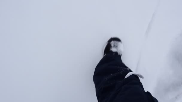 한 겨울 날 동안 눈에서 걷기 — 비디오