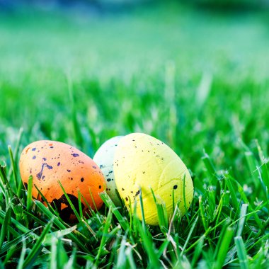 Yeşil çimenlerin üzerinde çok renkli Paskalya yortusu yumurta