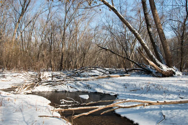 Bocht van een kreek in winter forest — Stockfoto