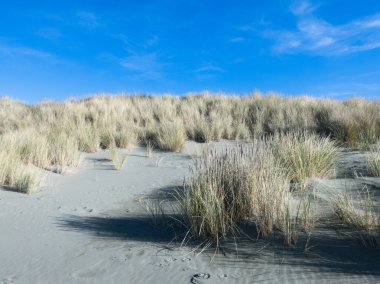 Kumul istikrar örneği