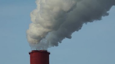 Fabrika boru sıcak Buhar için (kısa mesafe dışında soğuk kaçar.)