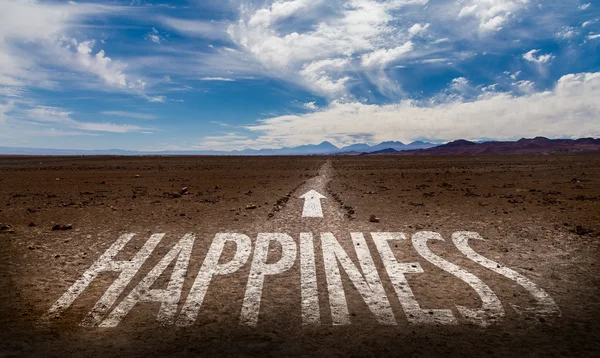 Happiness written on road — Stock Photo, Image