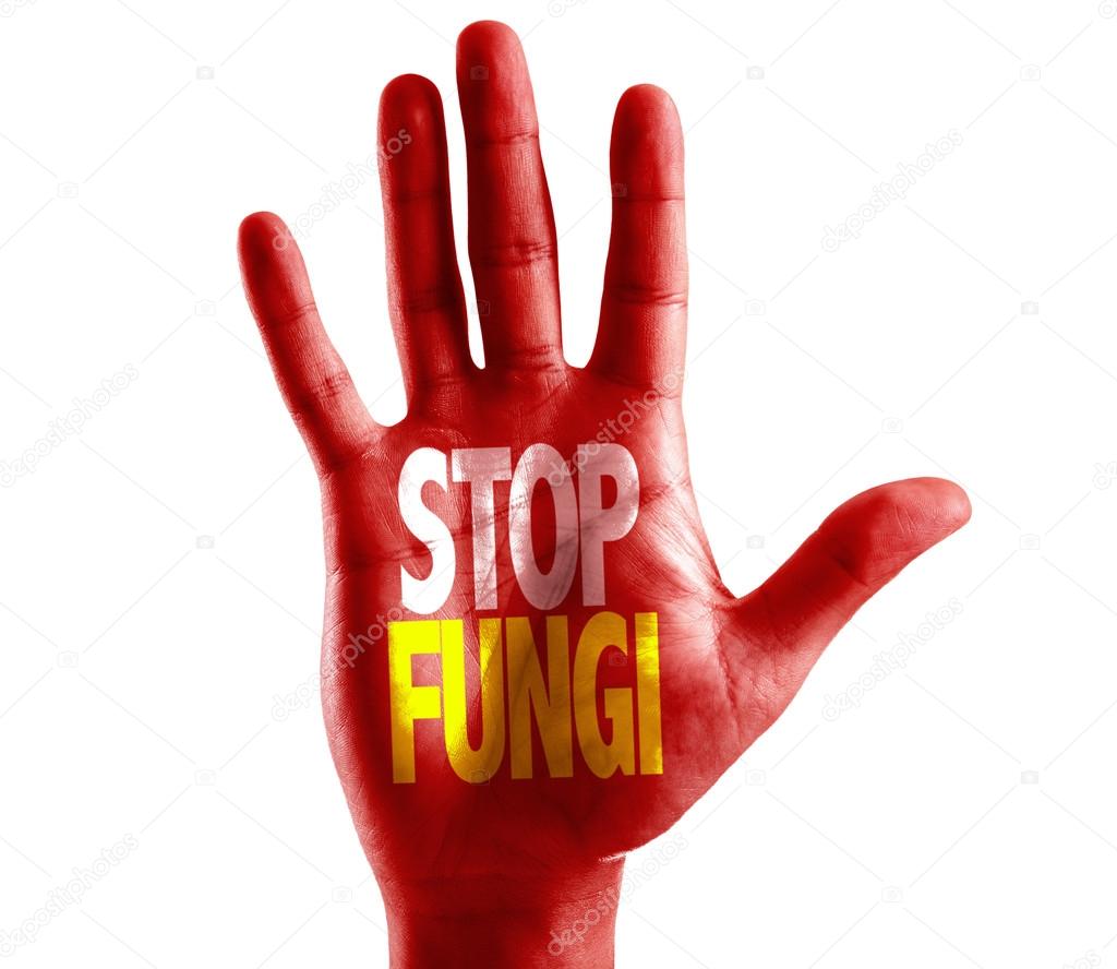 Stop Fungi written on hand