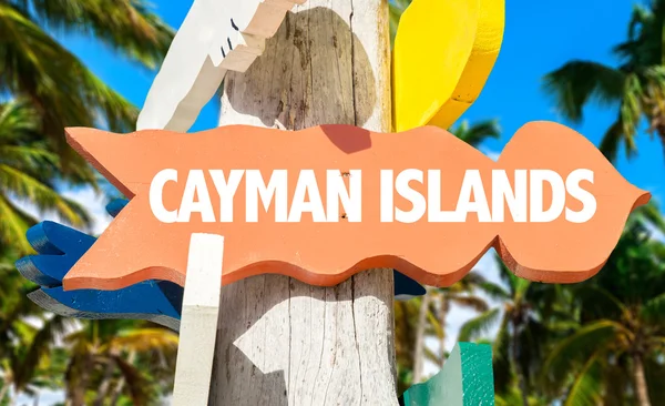 Segnavia Isole Cayman con palme — Foto Stock