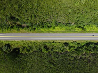 Rural Road in rainforest clipart