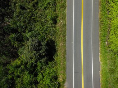 Kırsal yol yağmur ormanlarında