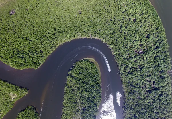 Amazonas-Regenwald in Brasilien — Stockfoto