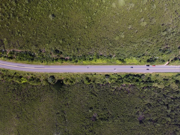 Strada rurale nella foresta pluviale — Foto Stock