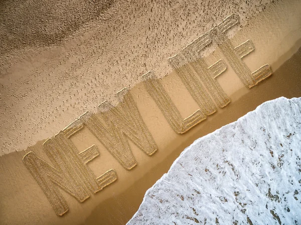 Neues Leben am Strand — Stockfoto