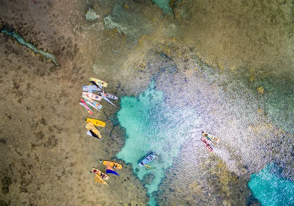 Büyük bariyer, Pernambuco