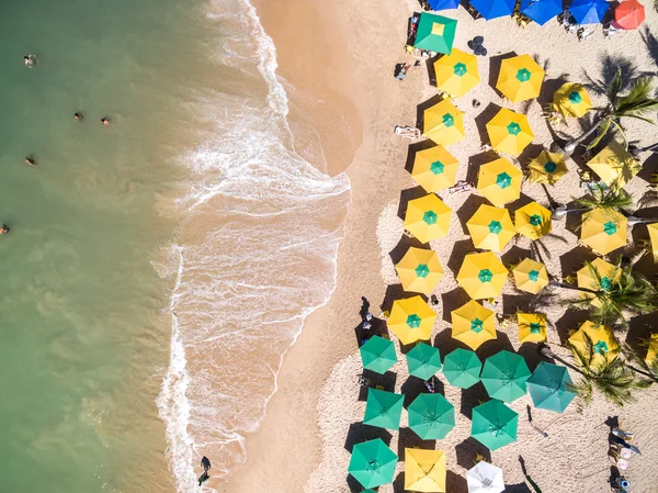 Tropisch strand met palmbomen — Stockfoto