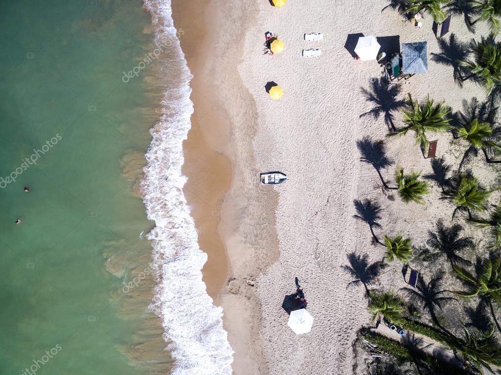 Tropical Beach with Palm Trees — Stock Photo © gustavofrazao #109554480