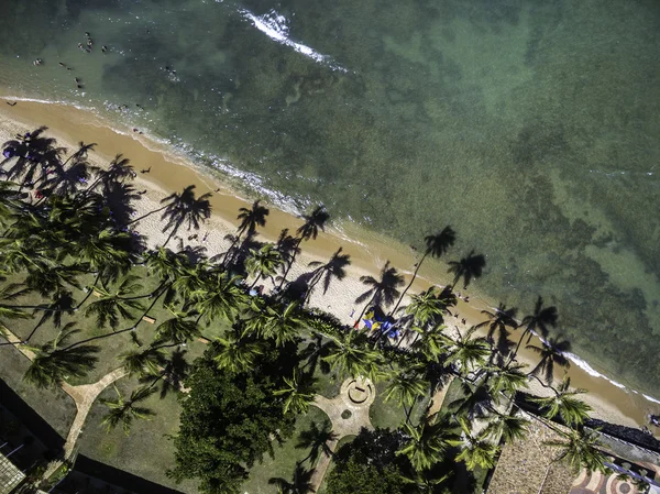 Praia do paraíso com palmeiras — Fotografia de Stock