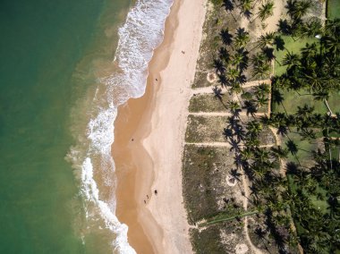 Paradise Beach, Brazil clipart