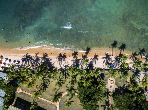 Paradise Beach, Brasil — Fotografia de Stock