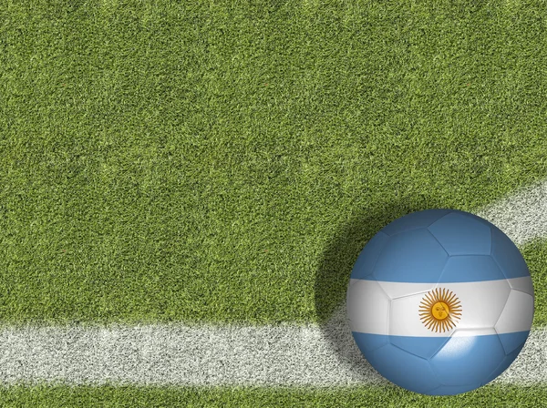 Argentinean Ball in Field — Stock Photo, Image