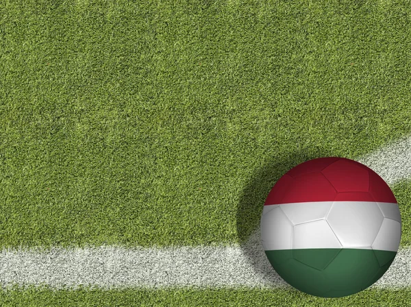 Ungarischer Ball im Feld — Stockfoto