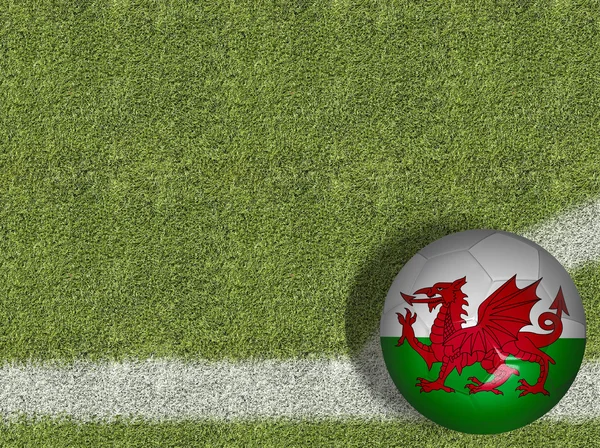 Wales Ball in Field — Stock Photo, Image