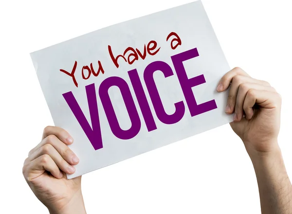 Because I Have A Voice by Arvind Narrain