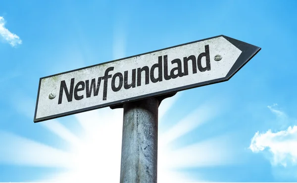 Newfoundland σημάδι κατεύθυνσης — Φωτογραφία Αρχείου