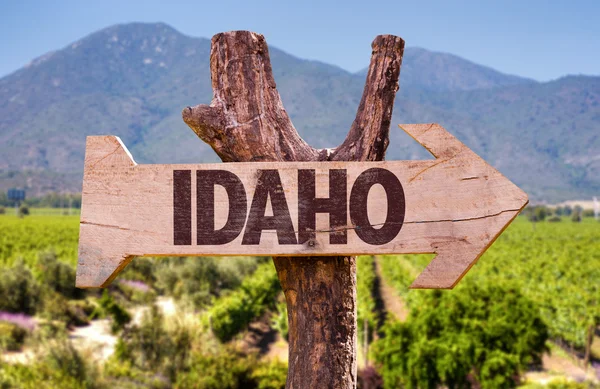 Idaho directional arrow — Stock Photo, Image