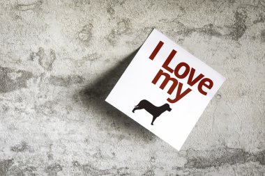 Kağıt doku arka plan notu üzerinde Köpeğimi seviyorum