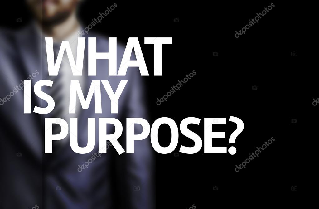 What is My Purpose? written on a board