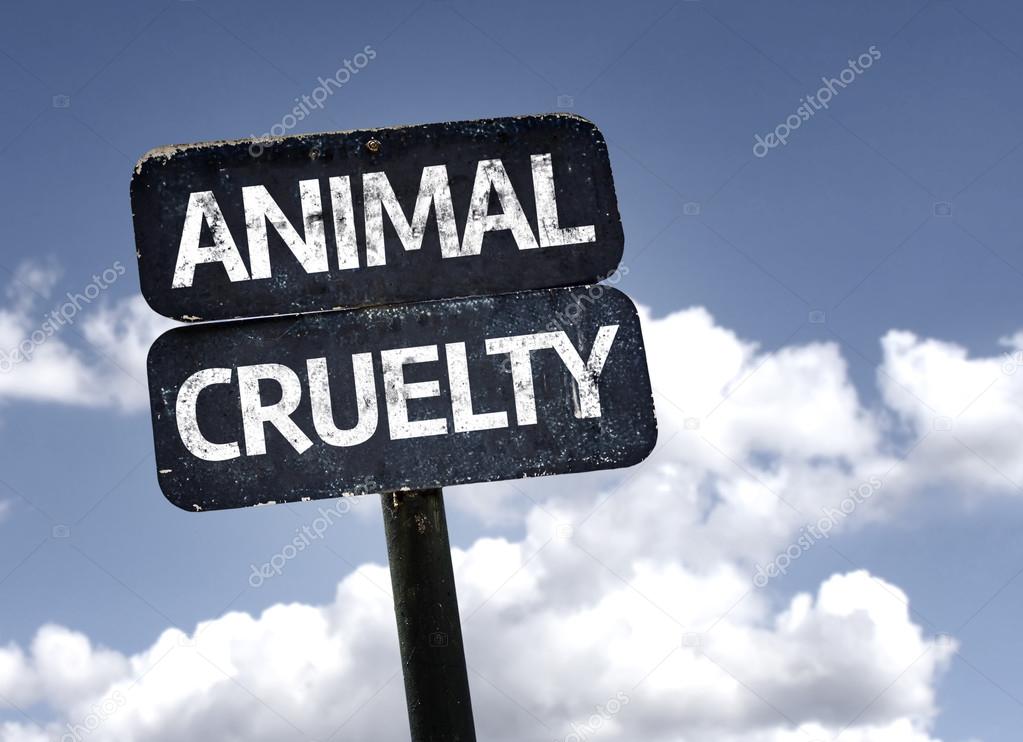 Animal Cruelty  sign
