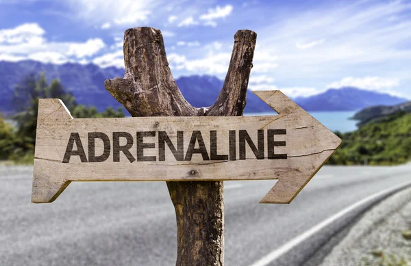 Adrenaline  wooden sign — Stock Photo, Image