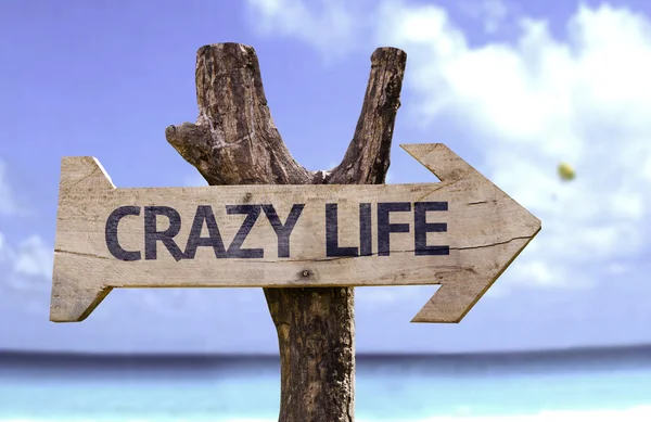 Crazy Life wooden sign — Stock Photo, Image