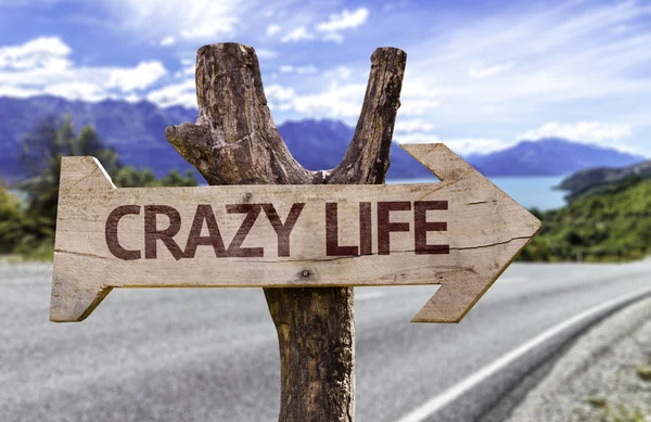 Crazy Life segno di legno — Foto Stock