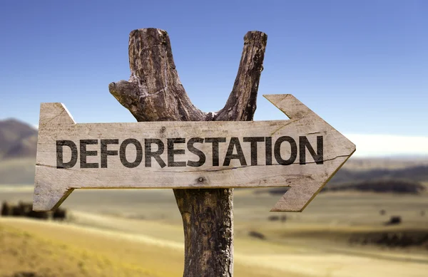 Ontbossing houten teken — Stockfoto