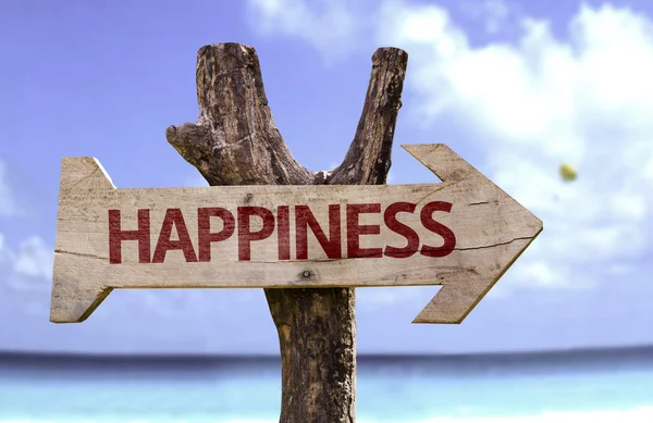 Happiness  wooden sign — Stock Photo, Image