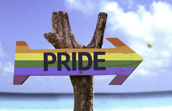 Pride wooden colorful sign — Stock Photo, Image