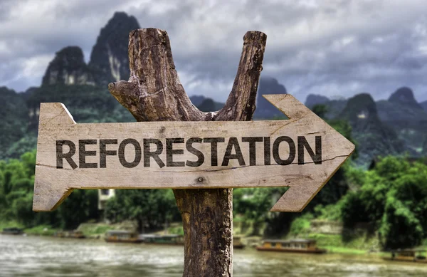 Señal de madera de reforestación —  Fotos de Stock