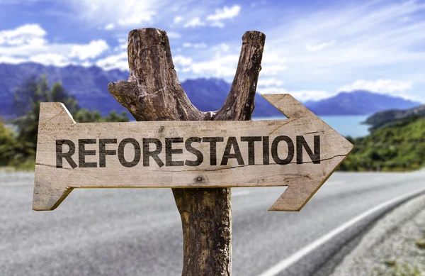 Återbeskogning träskylt — Stockfoto