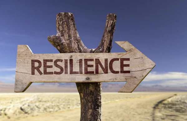 Signo de madera de resiliencia — Foto de Stock