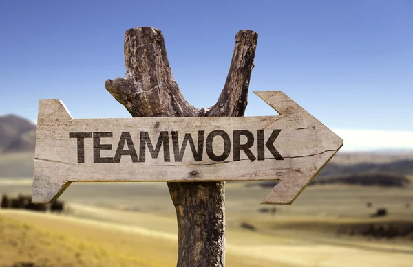 Teamwork träskylt med öken bakgrund — Stockfoto