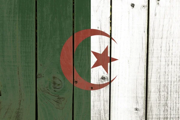 Algeria flag — Stock Photo, Image