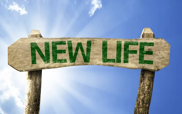Nieuwe leven groene teken — Stockfoto